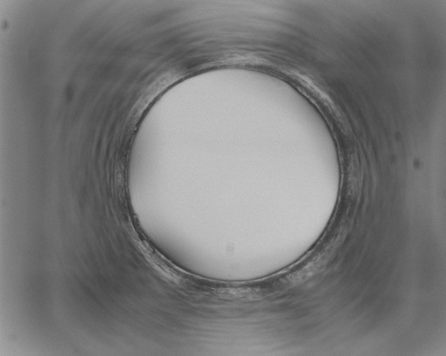 X0000066081281200604071723