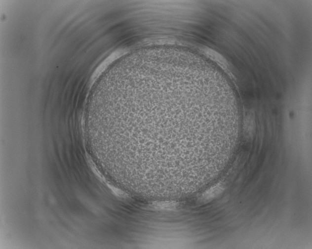 X0000066081282200604071722