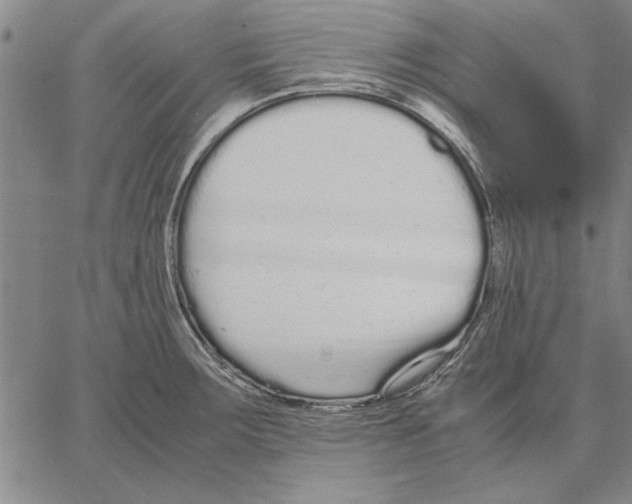 X0000066081283200604071722