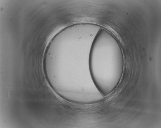 X0000066081285200604071722