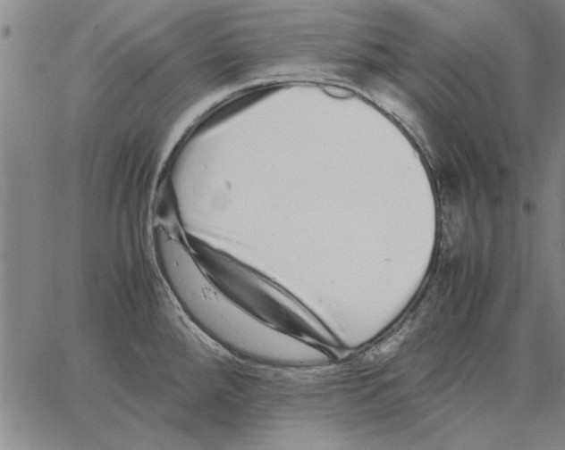 X0000066081288200604071722