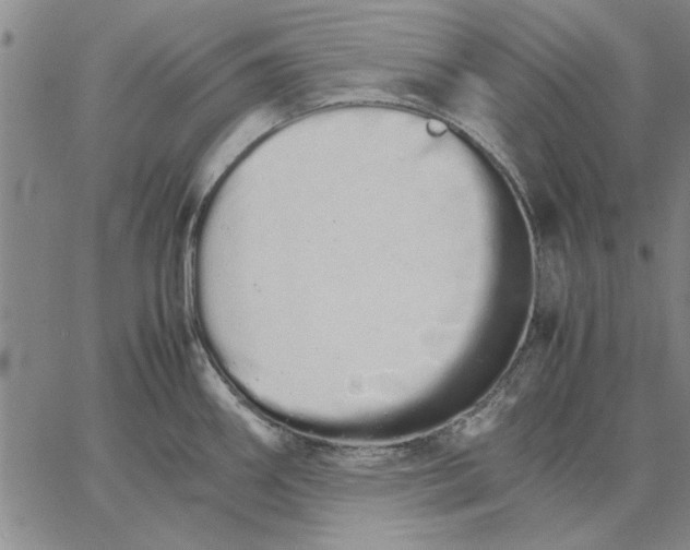 X0000066081290200604071722