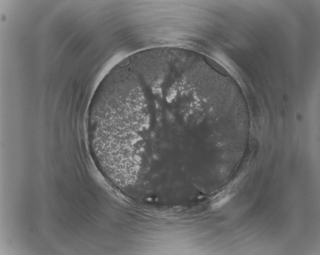 X0000066081291200604071722