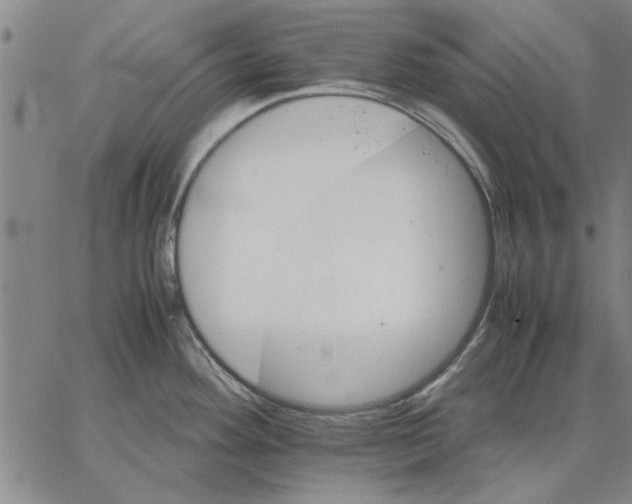 X0000066081292200604071722