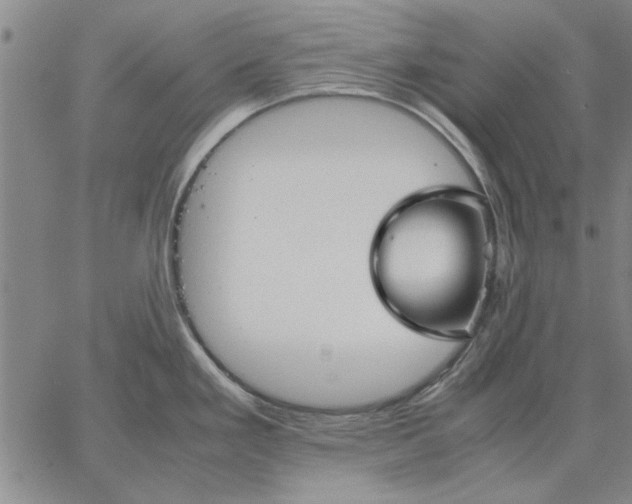 X0000066081293200604071722