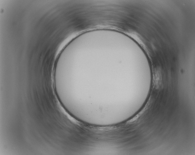 X0000066081294200604071722