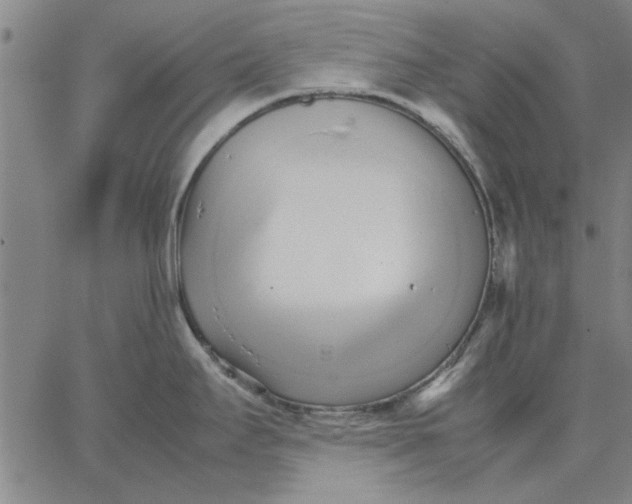 X0000066081295200604071722