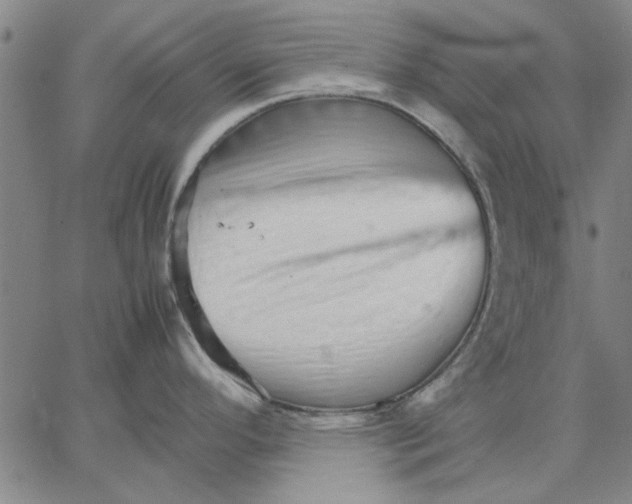 X0000066081296200604071722