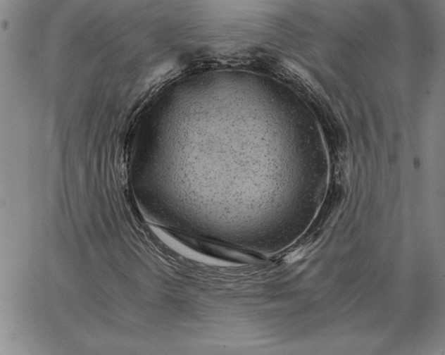 X0000066081298200604071721