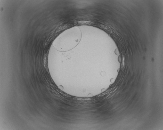 X0000066081299200604071722