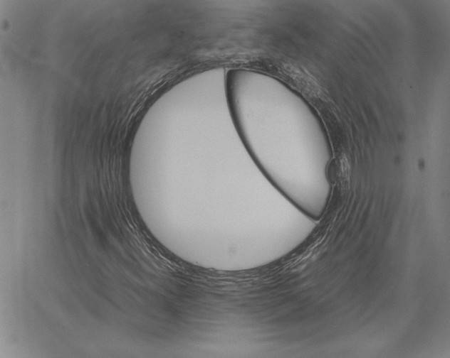 X0000066081300200604071722