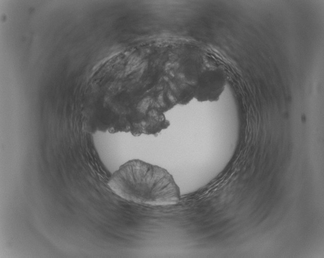 X0000066081302200604071722