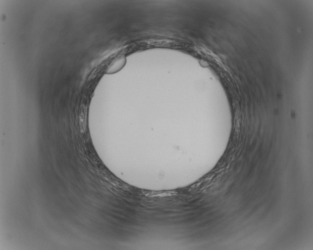 X0000066081303200604071722