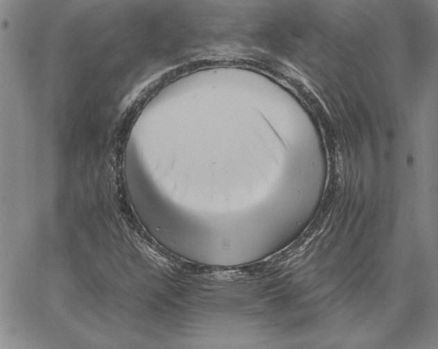 X0000066081304200604071722