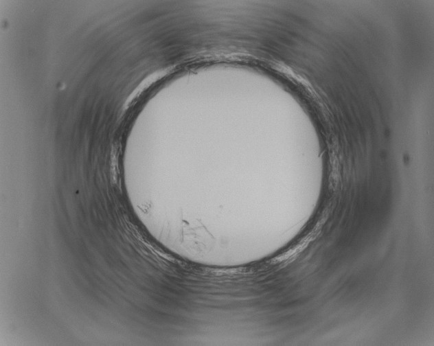 X0000066081306200604071722