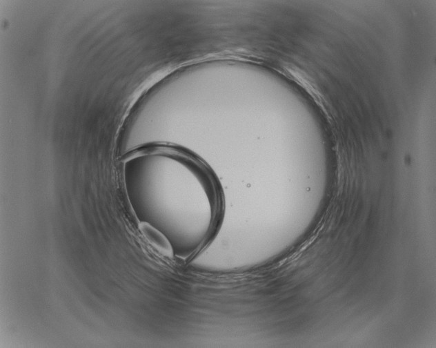 X0000066081308200604071722