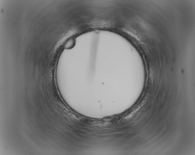 X0000066081309200604071722