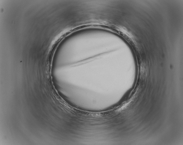 X0000066081310200604071722