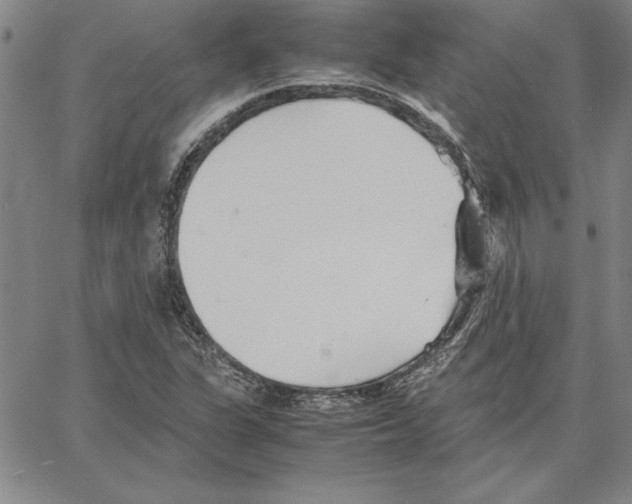 X0000066081311200604071722