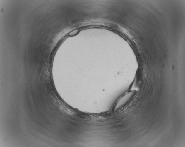 X0000066081312200604071722