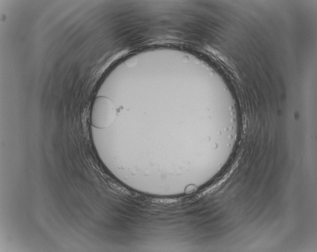 X0000066081313200604071722