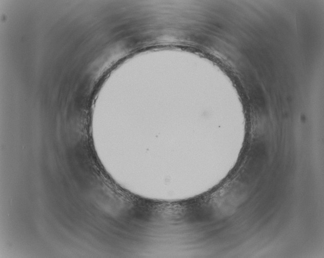 X0000066081314200604071722