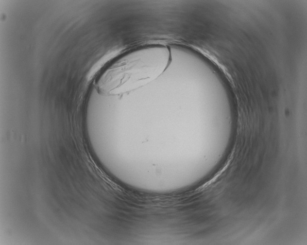 X0000066081317200604071722