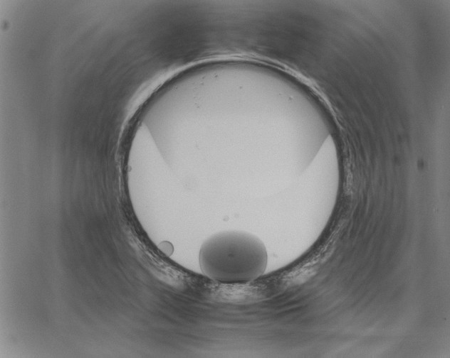 X0000066081319200604071722