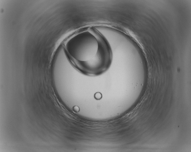 X0000066081320200604071722