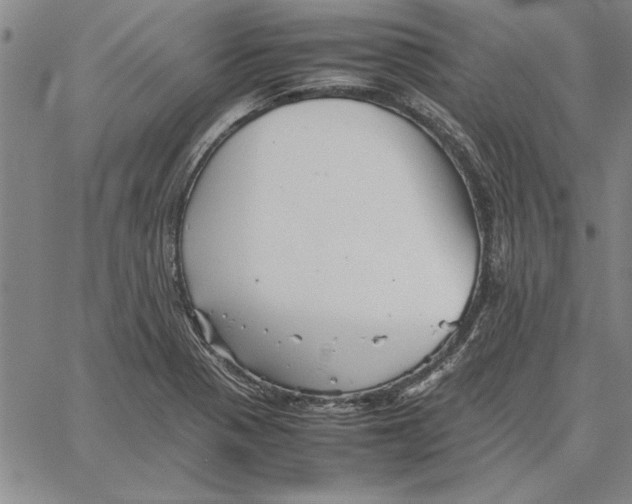 X0000066081321200604071722