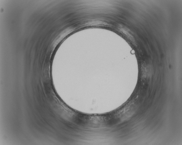 X0000066081322200604071722