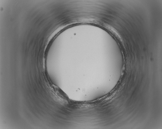 X0000066081324200604071722