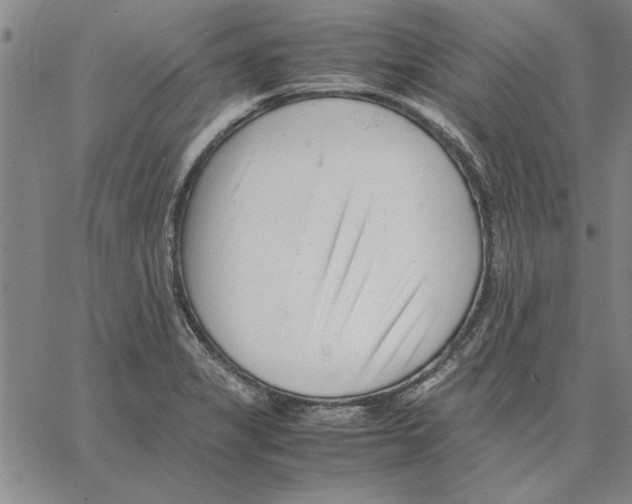 X0000066081325200604071722