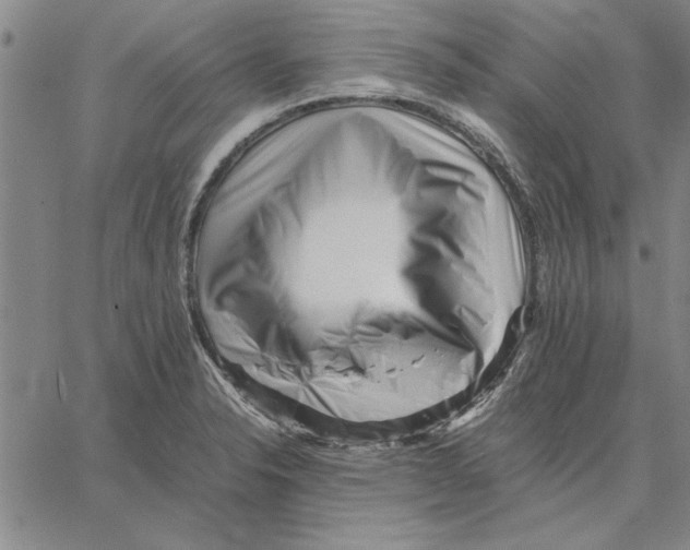 X0000066081326200604071722