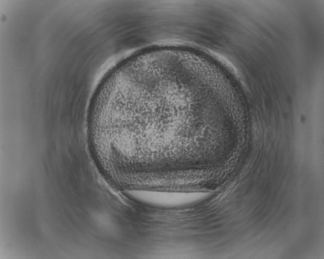 X0000066081327200604071722