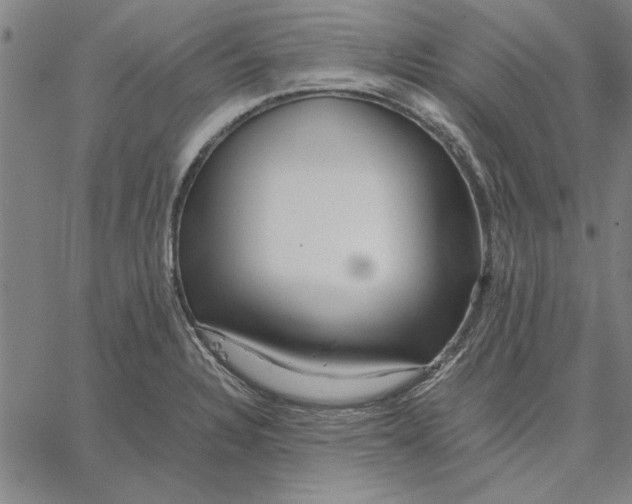 X0000066081328200604071722