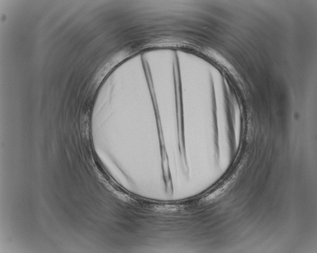 X0000066081329200604071722