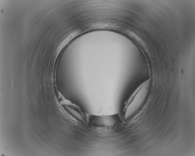 X0000066081330200604071722