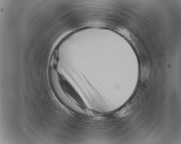 X0000066081331200604071722