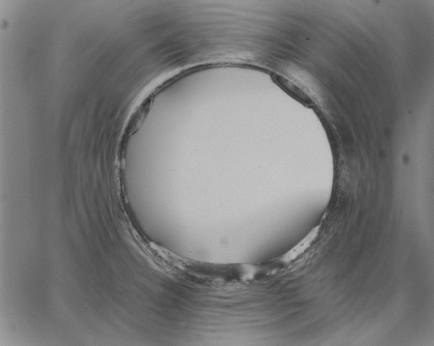 X0000066081332200604071722