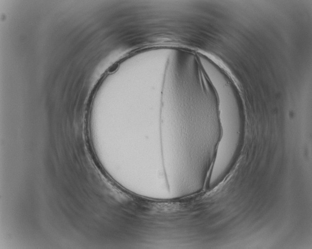 X0000066081333200604071722