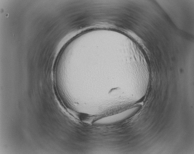 X0000066081335200604071722