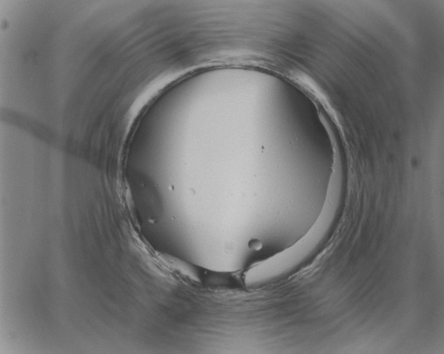 X0000066081336200604071722