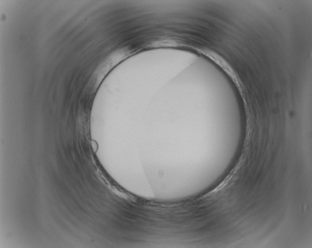 X0000066081337200604071722