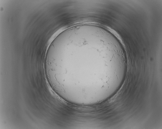 X0000066081338200604071722