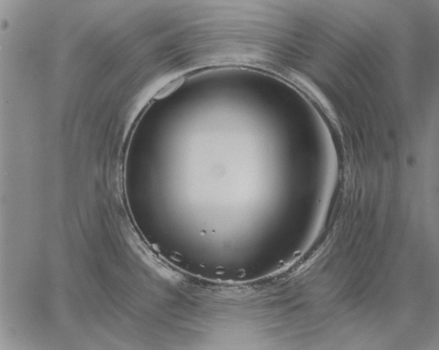 X0000066081340200604071722