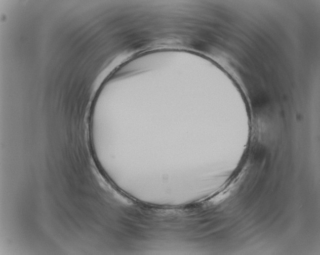 X0000066081341200604071722