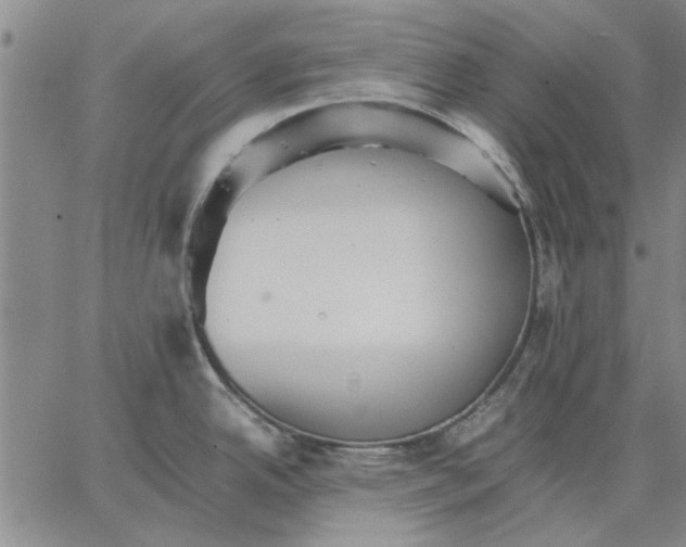 X0000066081342200604071722