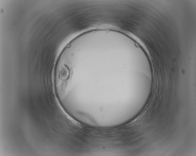 X0000066081343200604071722