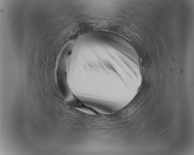 X0000066081345200604071721